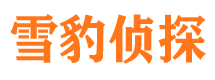 霞山市婚姻调查